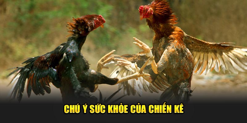 Chu-y-suc-khoe-cua-chien-ke