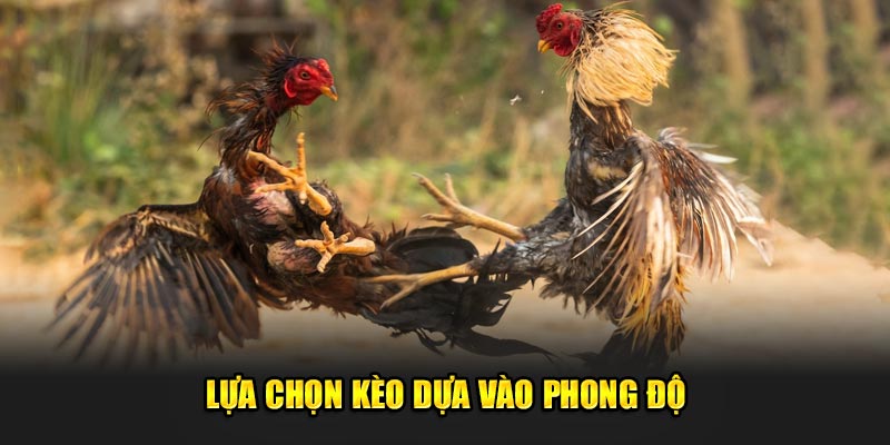Lua-chon-keo-dua-vao-phong-do