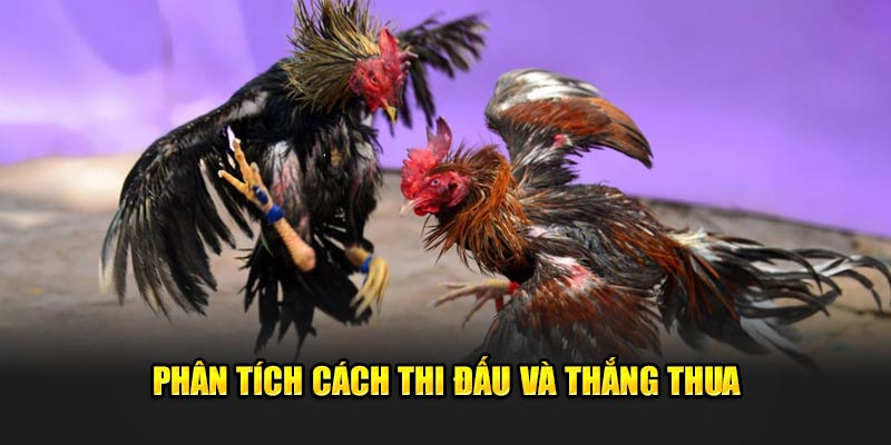 Phan-tich-cach-thi-dau-va-thang-thua