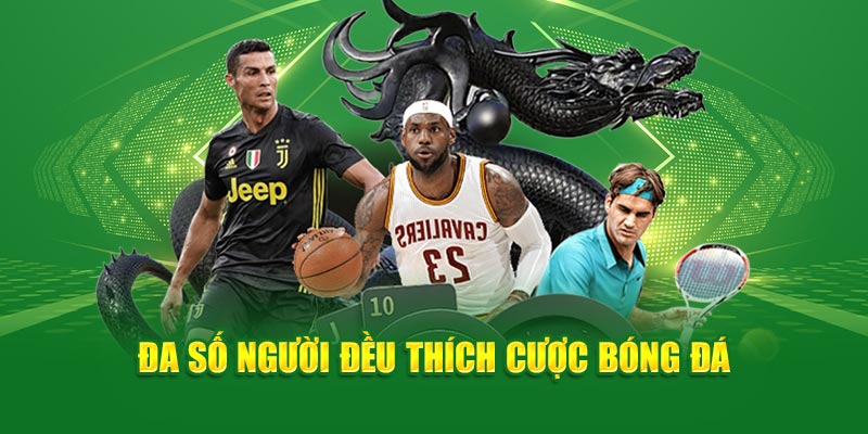 da-so-nguoi-deu-thich-cuoc-bong-da