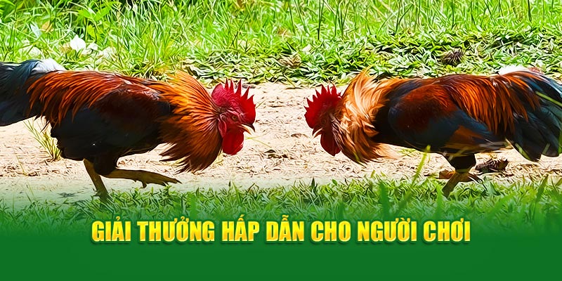 giai-thuong-hap-dan-cho-nguoi-choi