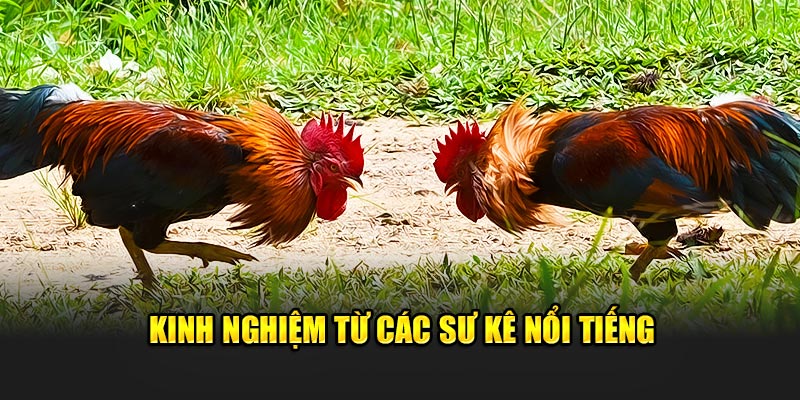 kinh-nghiem-tu-cac-su-ke-noi-tieng