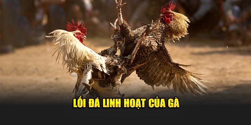 loi-da-linh-hoat-cua-ga