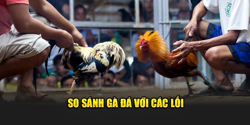 so-sanh-ga-da-voi-cac-loi