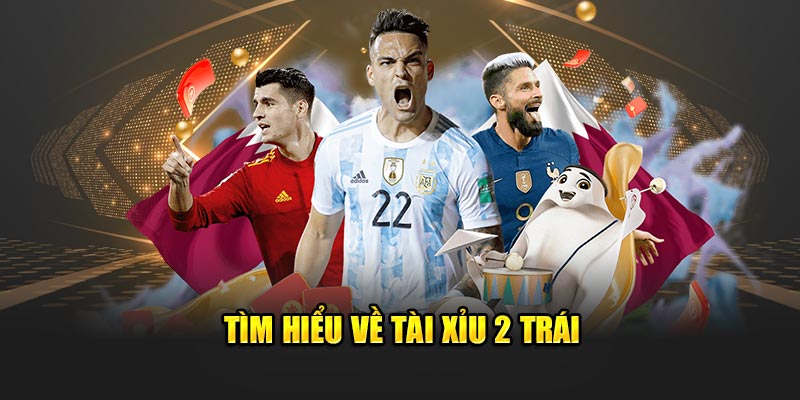 tim-hieu-ve-tai-xiu-2-trai